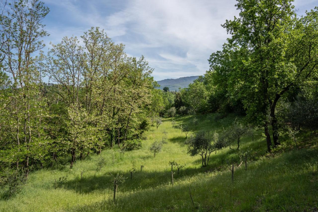 Il Giaggiolo Villa Reggello Buitenkant foto